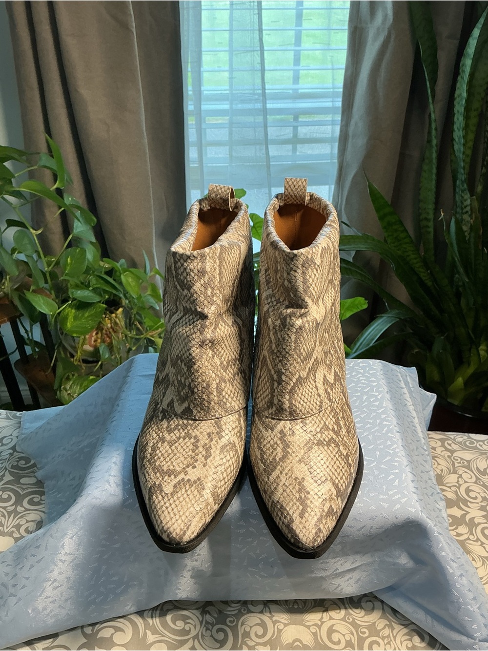 Zodiac Neutral Snake-Print Ankle Booties